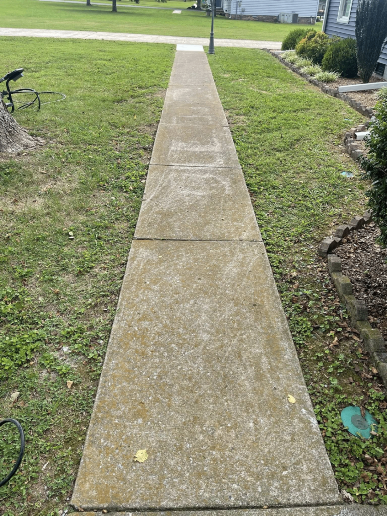 Before — Sidewalk pressure wash